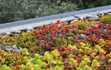 the cost of Quarndon Common green roof installation