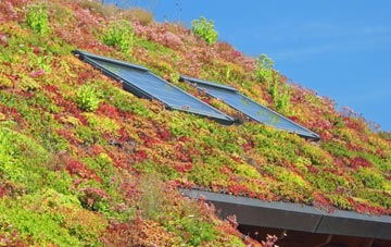 Quarndon Common living roof systems